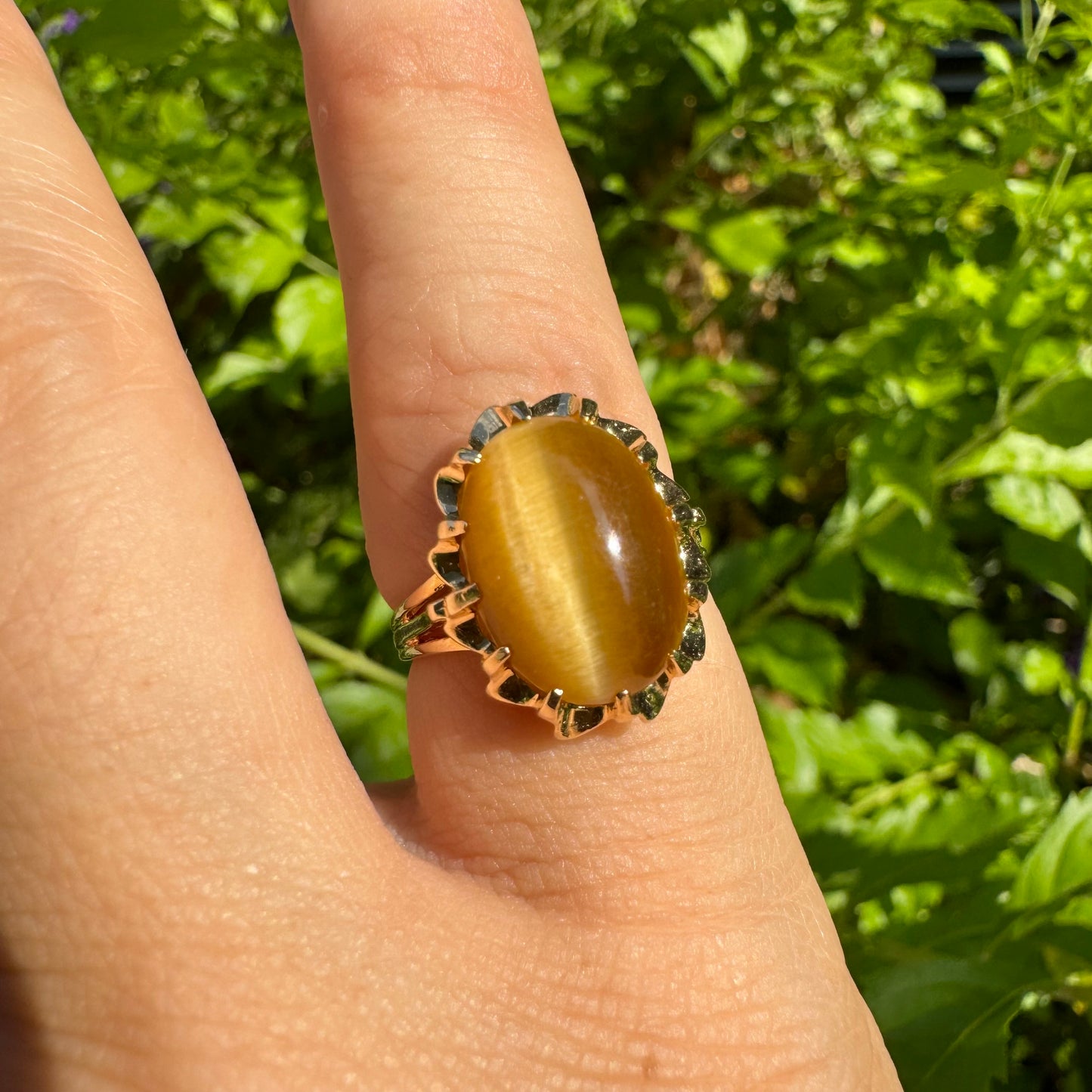 14K gold ring set with a yellow Cat’s Eye cabochon