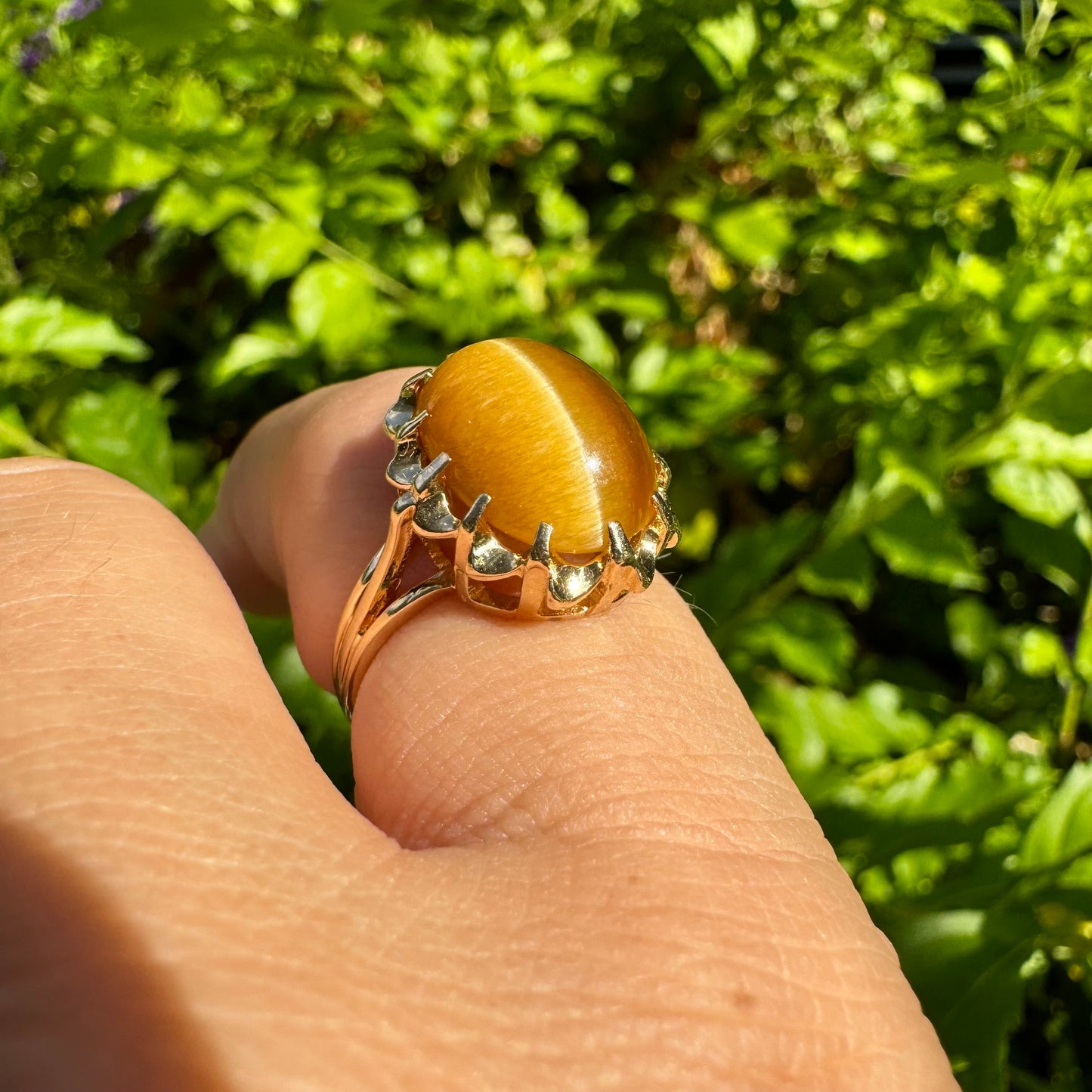 14K gold ring set with a yellow Cat’s Eye cabochon