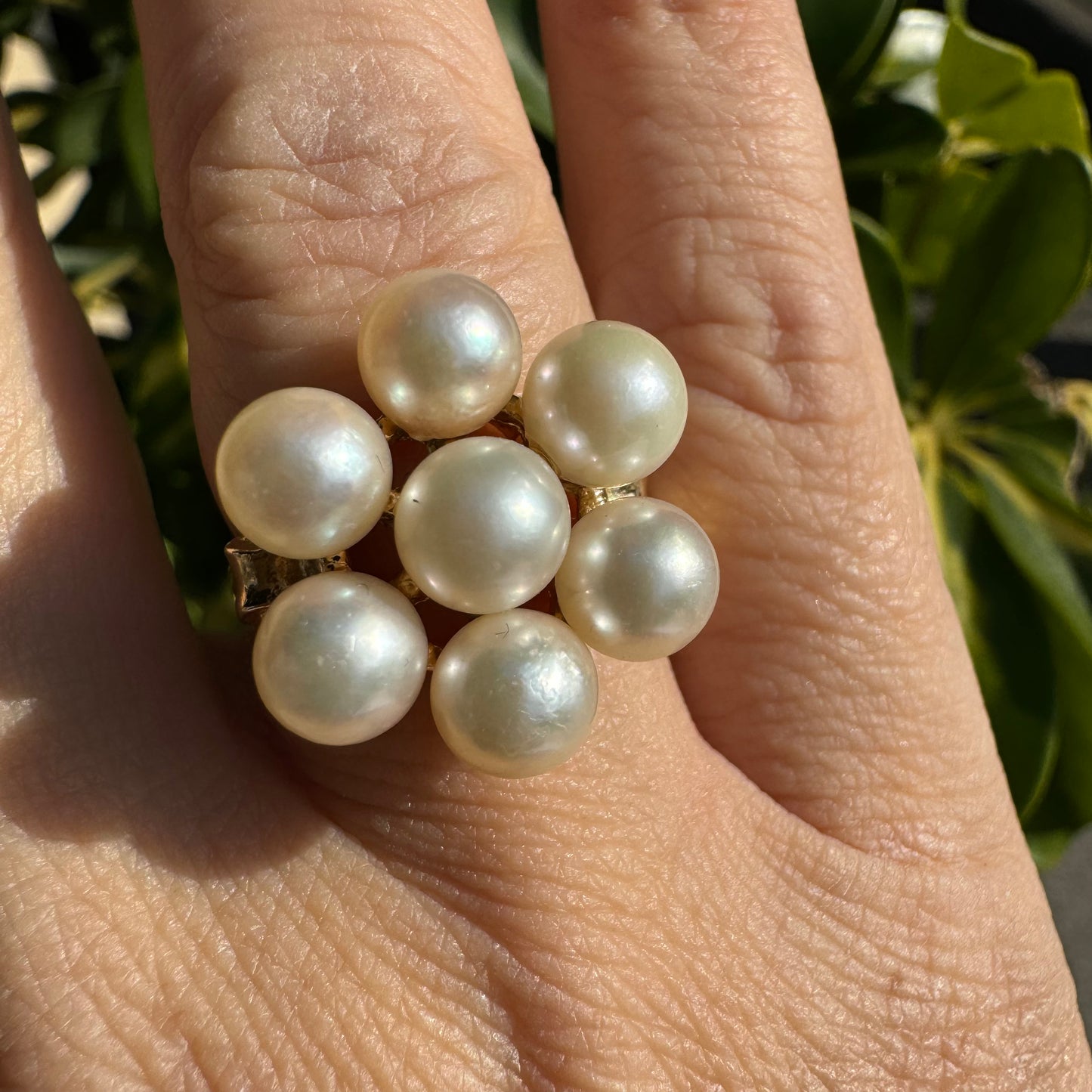 14K gold ring set with seven round Pearls in a bold floral cluster