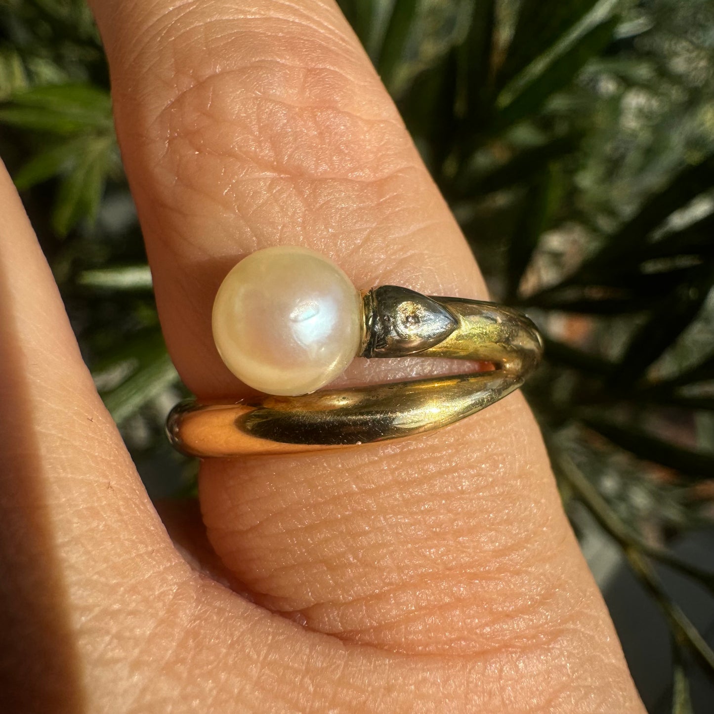 14K gold ring set with Pearl