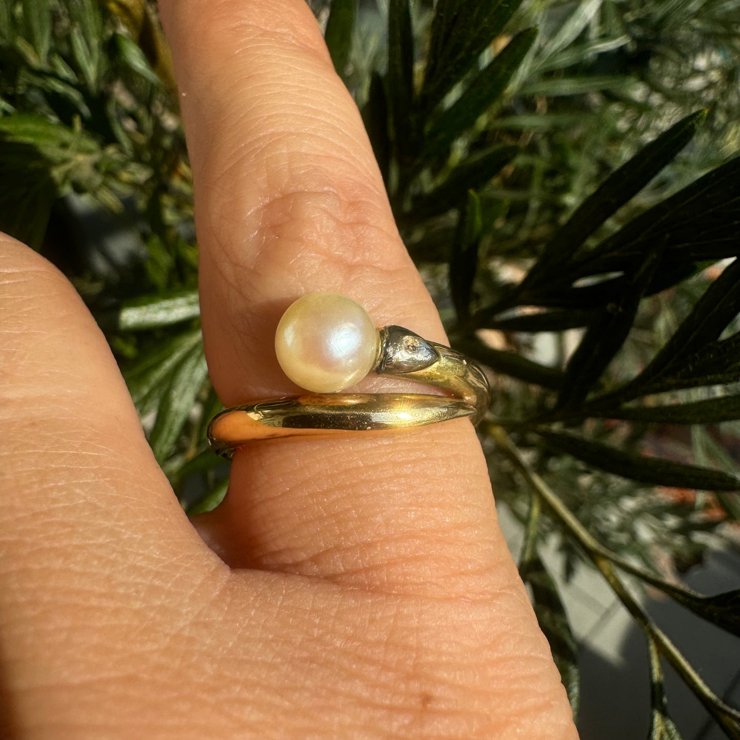 14K gold ring set with Pearl