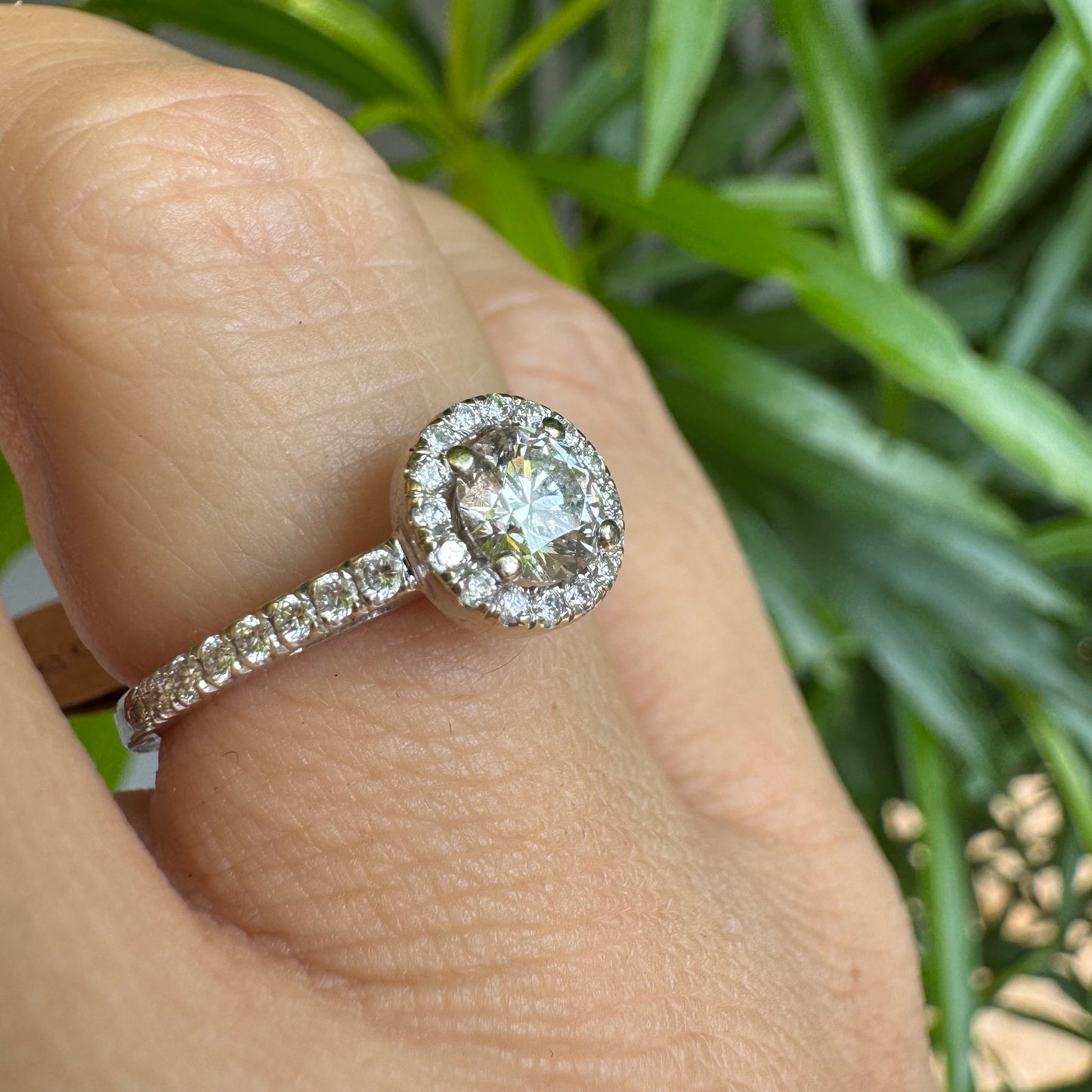 טבעת זהב לבן 14 קראט משובצת יהלום מרכזי עגול והילה נוצצת של יהלומים קטנים, עם יהלומים נוספים על החישוק.