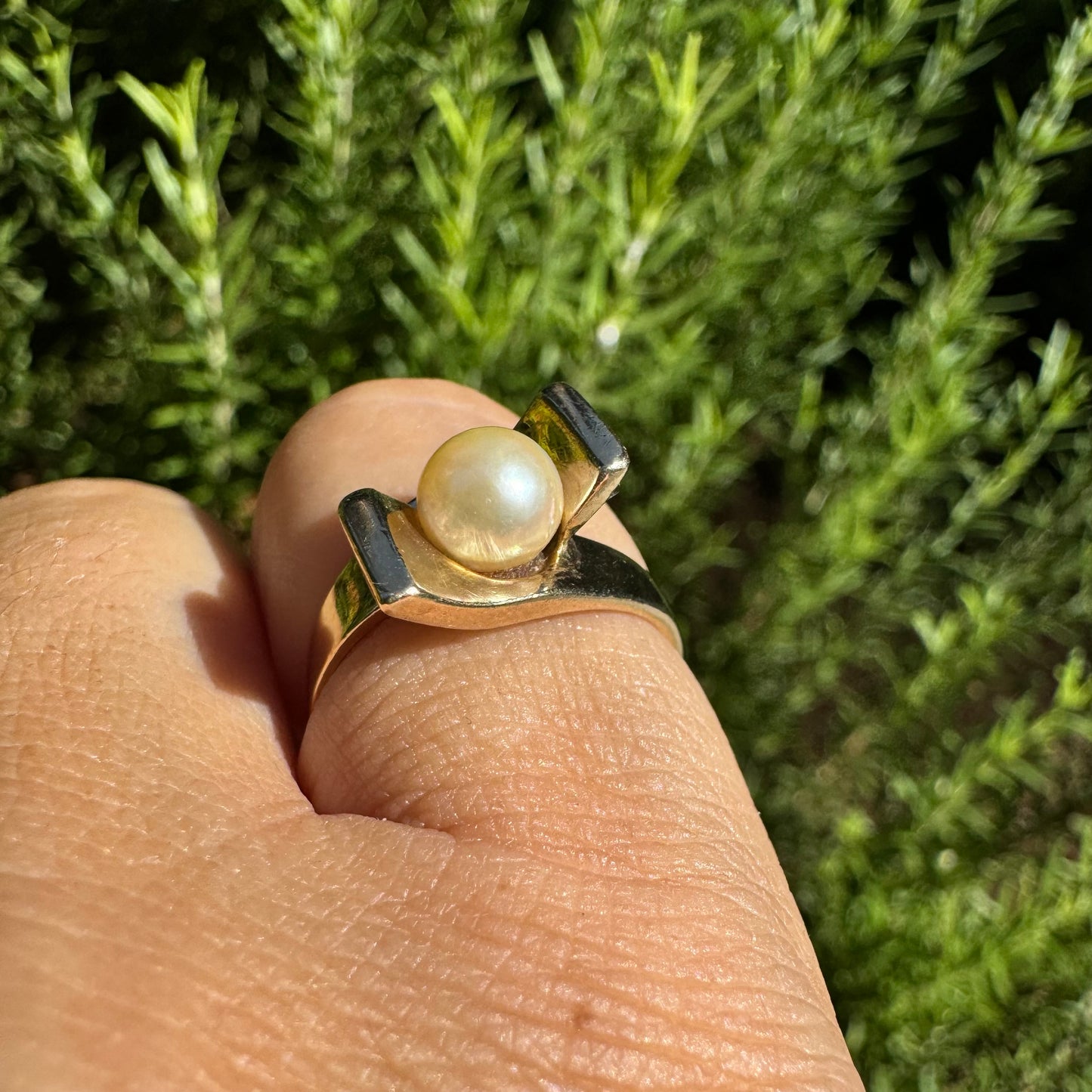 10K gold ring set with Pearl